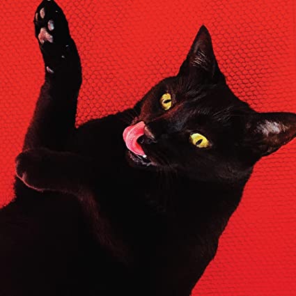 Big Colors (Red Vinyl with Bonus 7") [Explicit Content]