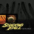 Shadows Fall Of One Blood (Colored Vinyl, Yellow, Black Marble)