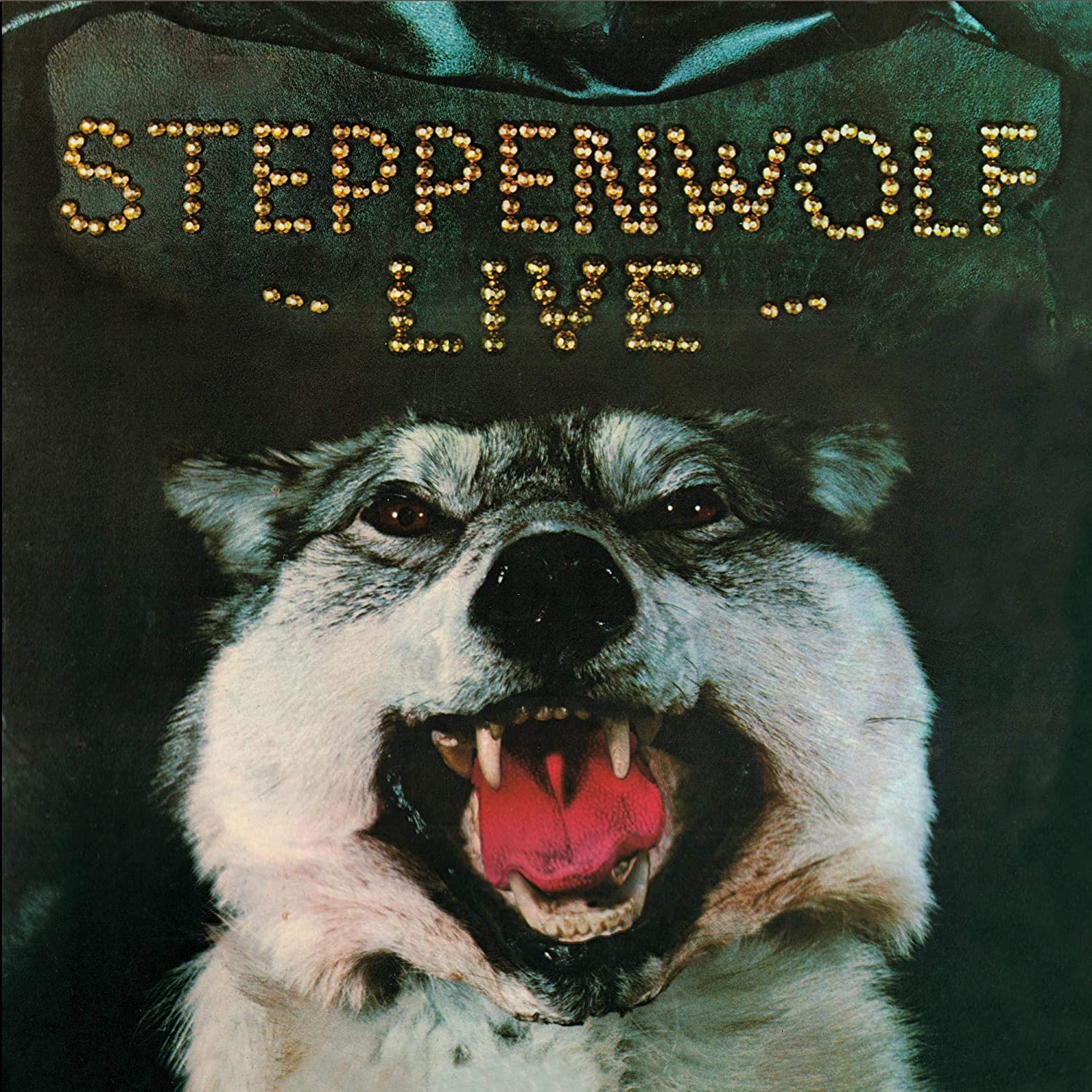Steppenwolf Live (180 Gram Vinyl, Audiophile, Limited Edition, Gatefold LP Jacket, Anniversary Edition)