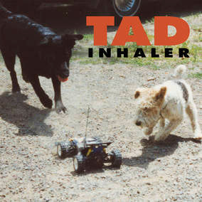 Inhaler