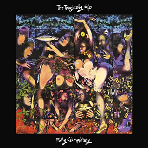 Fully Completely [30th Anniversary Deluxe 3 LP/Blu-ray Box Set]