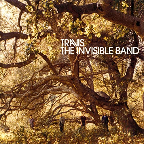 The Invisible Band (20th Anniversary) [LP]