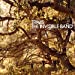 The Invisible Band (20th Anniversary) [LP]