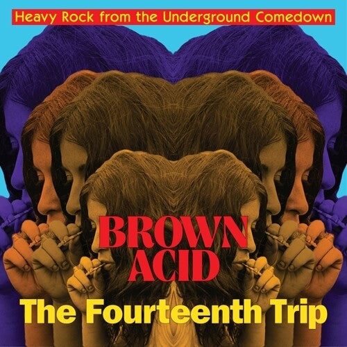 Brown Acid: The Fourteenth Trip