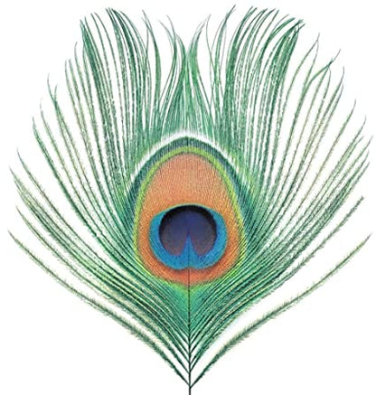 Apple Venus Vol. 1 (200 Gram Vinyl) [Import]