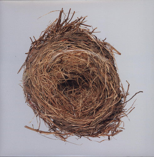 | A Ghost Is Born (LP)