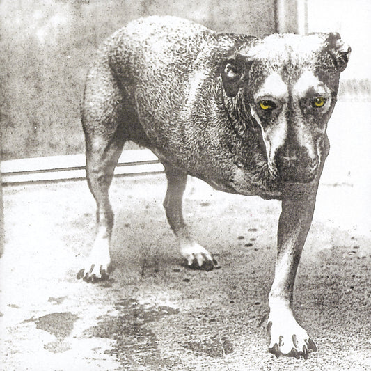 Alice In Chains (30th Anniversary Reissue) [Color Vinyl] [2LP]