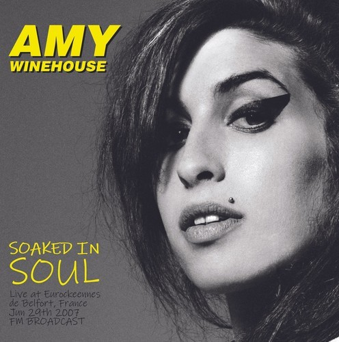 Soaked In Soul: Live At Eurorockeennes De Belfort, France - June 29th, 2007 [Import]