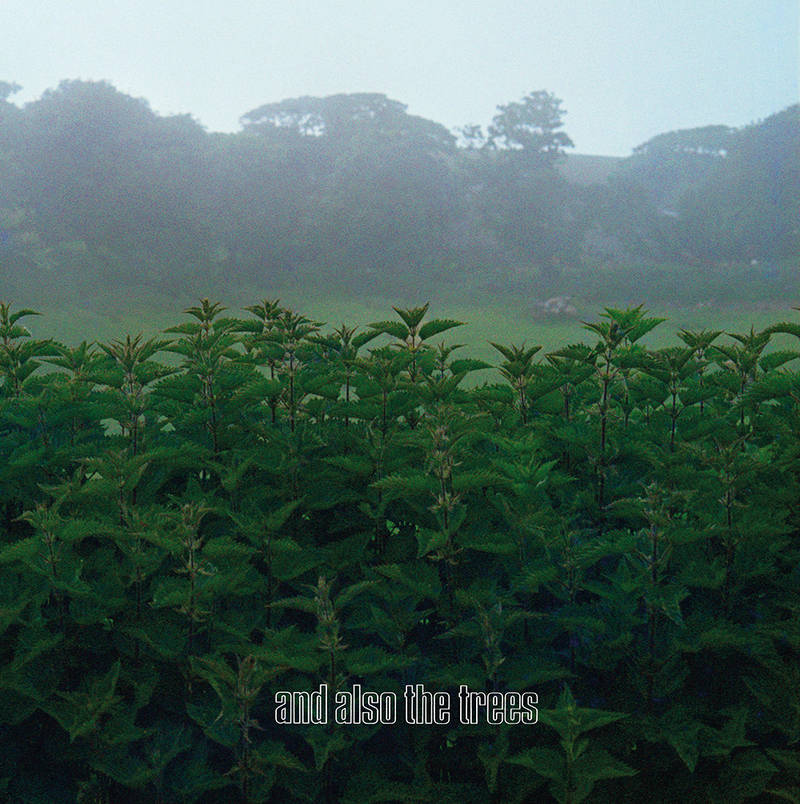 And Also The Trees (Rex) | RSD DROP