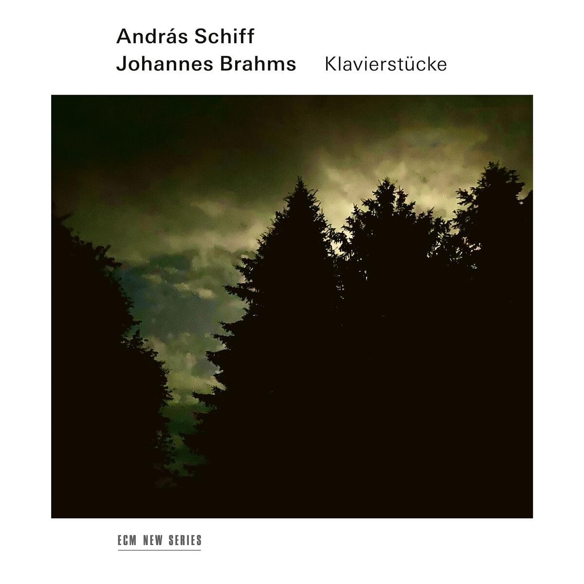 Brahms: Klavierstücke [2CD]
