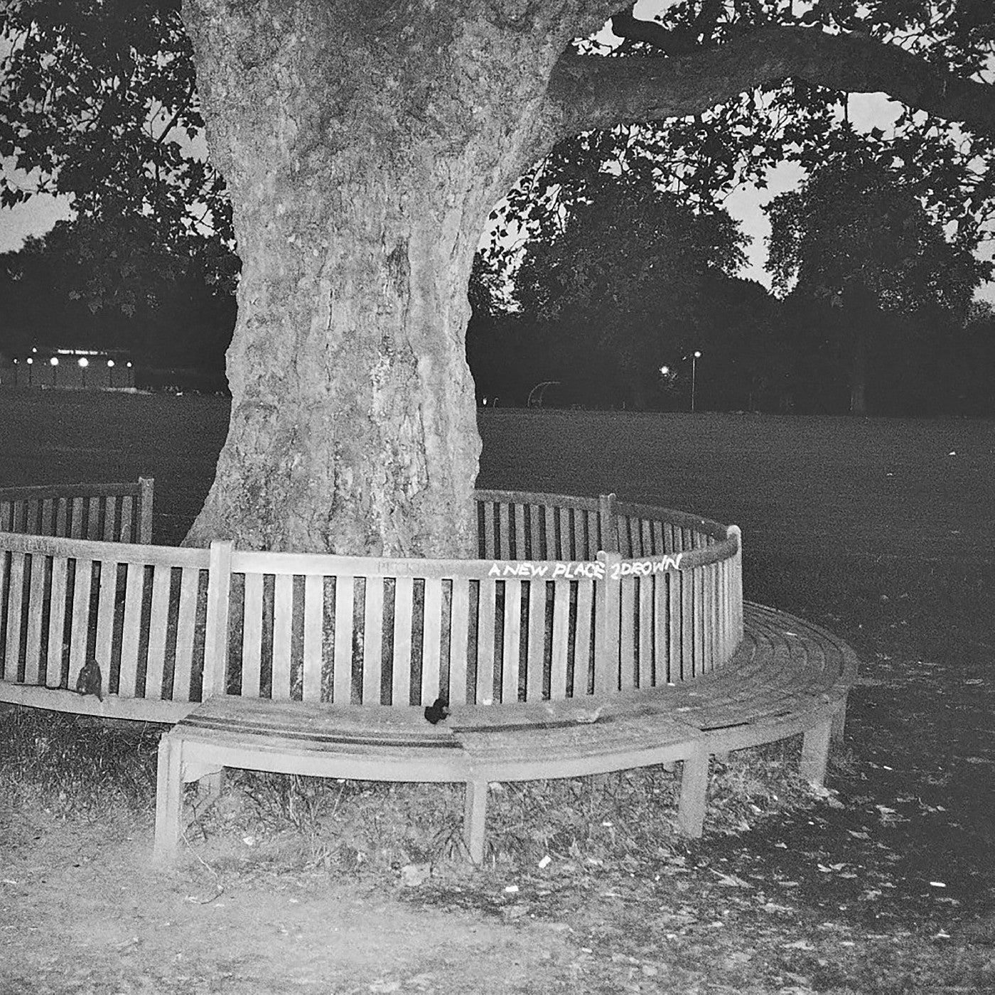 A New Place 2 Drown (Instrumentals)