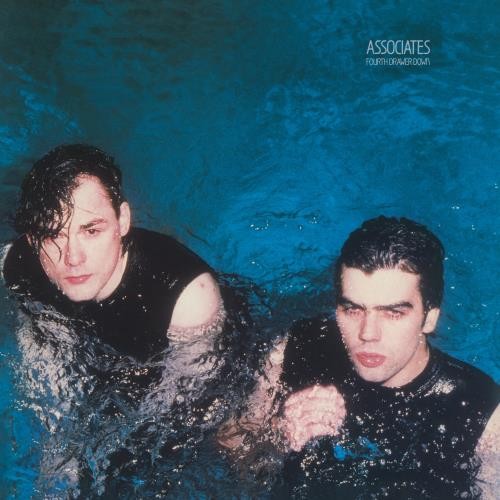 Fourth Drawer Down (180G) [Silver Vinyl]