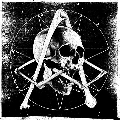 In Our Wake [2 LP][Deluxe]