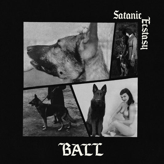 Satanic Ecstasy (Deluxe Edition, Satanic Sex Splatter Vinyl)