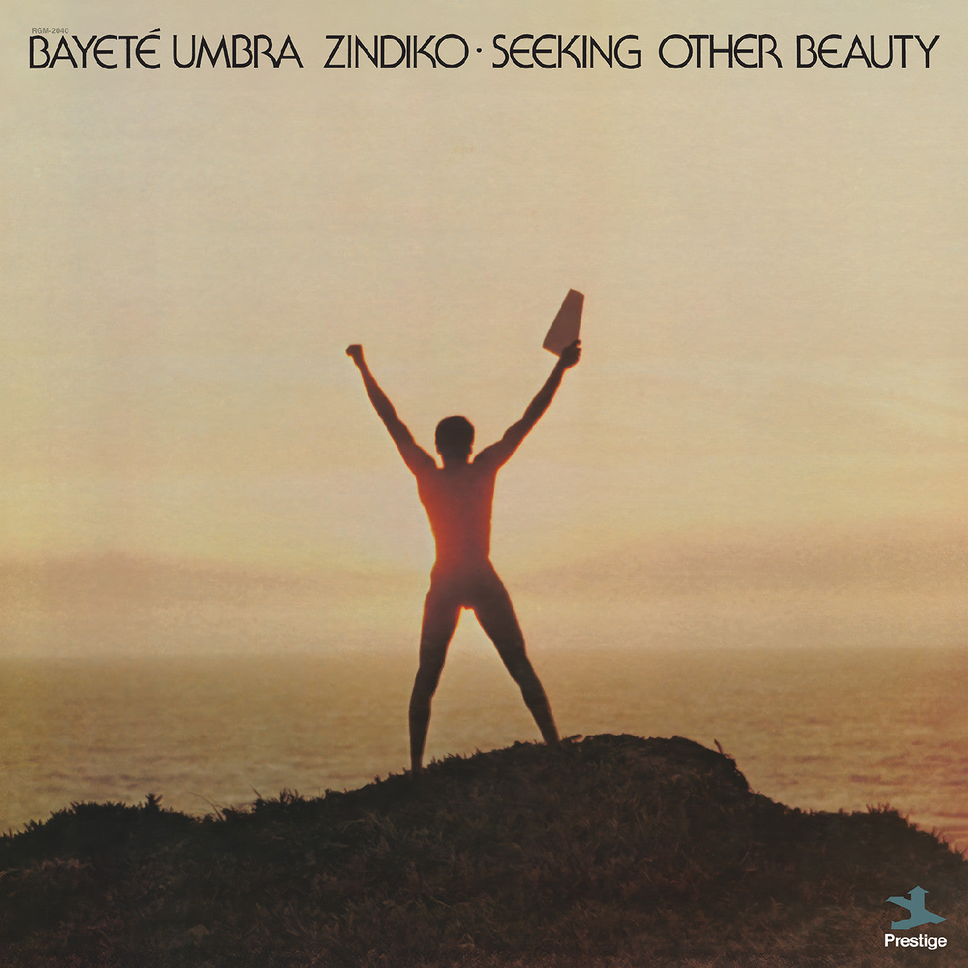 Seeking Other Beauty (All-Analog) (Plasma Vinyl)
