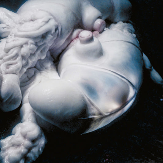 Björk Arisen My Senses limited edition colored 12-inch vinyl