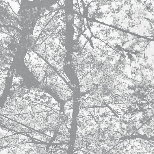 Obliteration Bliss [CD]