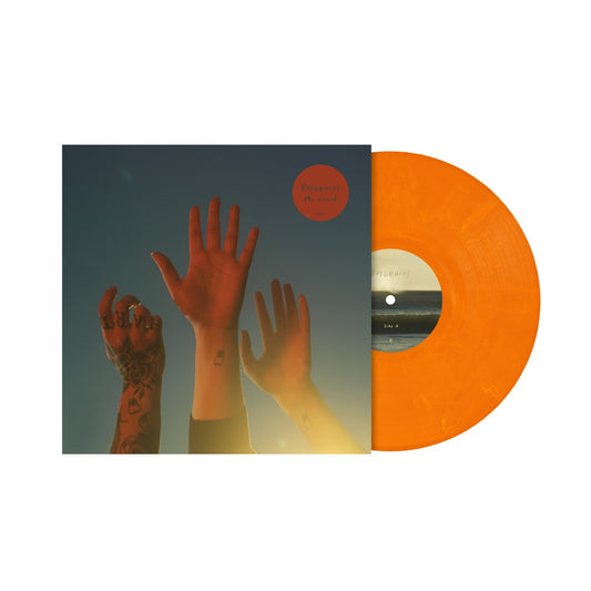 The Record (Orange Lp)