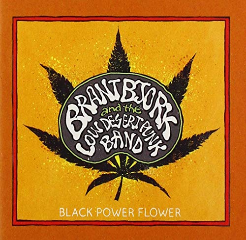 Brant Bjork And The Low Desert Punk Band Black Power Flower
