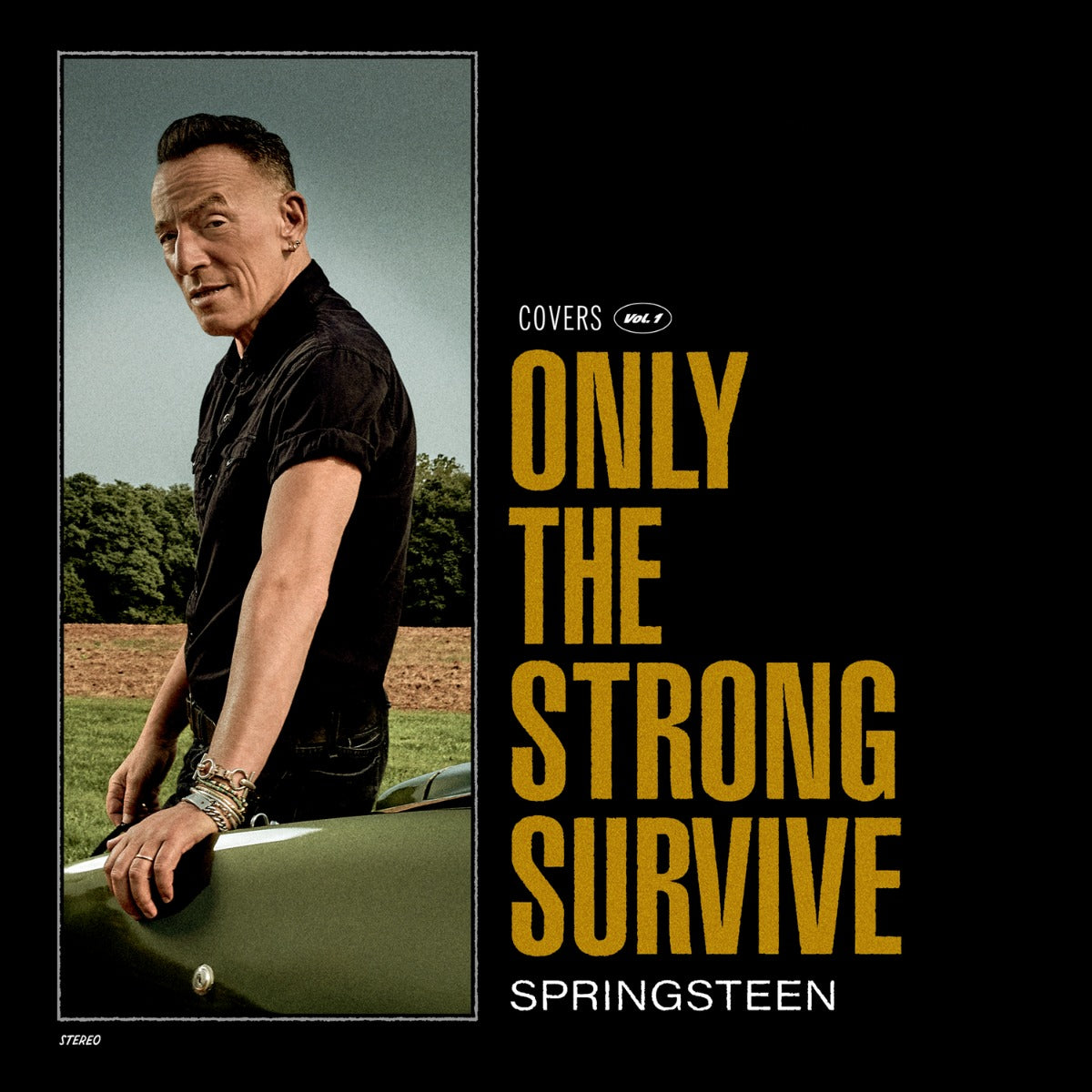 Only The Strong Survive (Nightshade Green Vinyl) [2Lp]