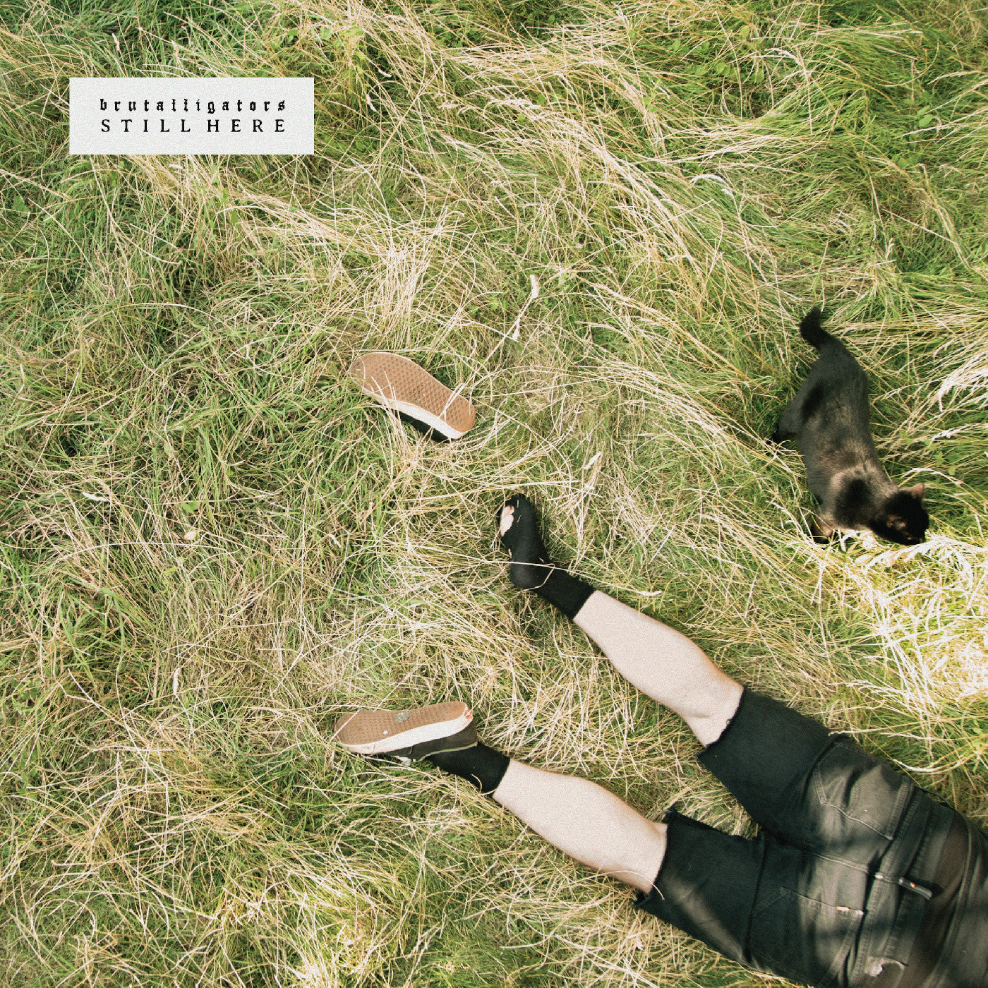 Still Here (Indie Exclusive Grassy Green Marbled Vinyl)