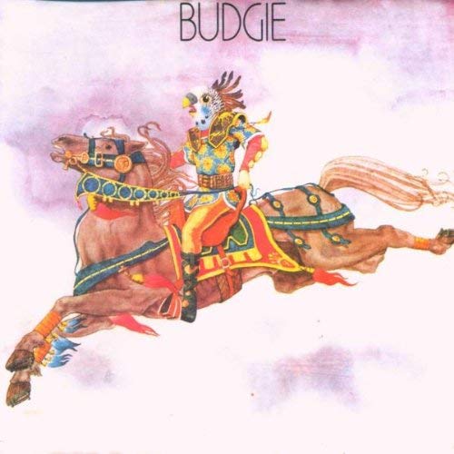 Budgie (Import)