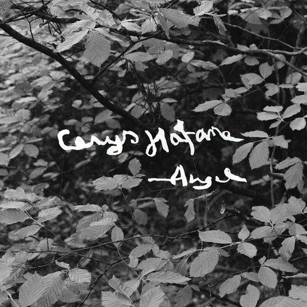 Angel [Lp]