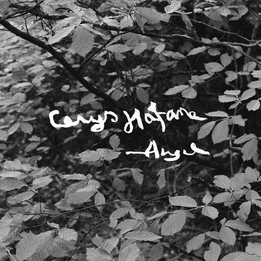 Angel [Lp]