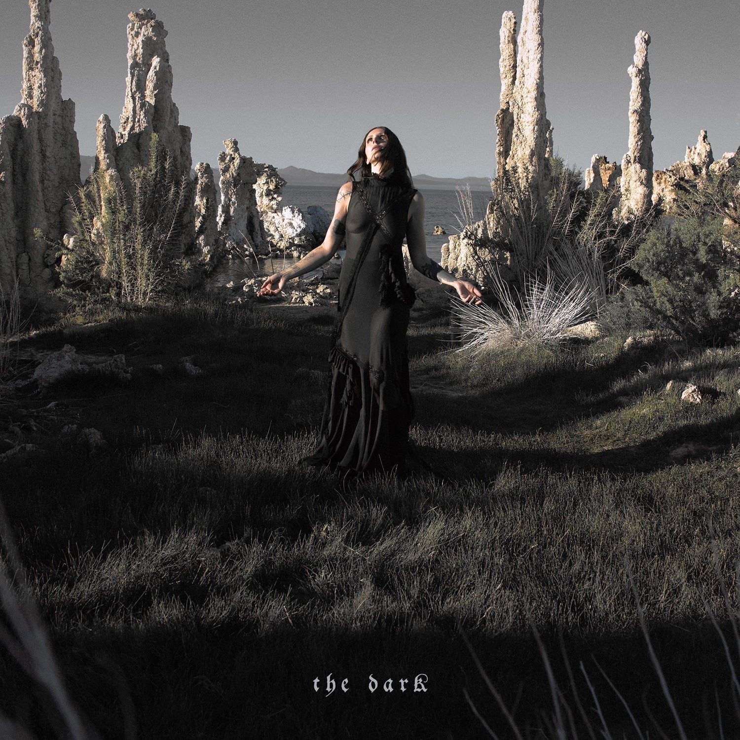The Dark [LP]