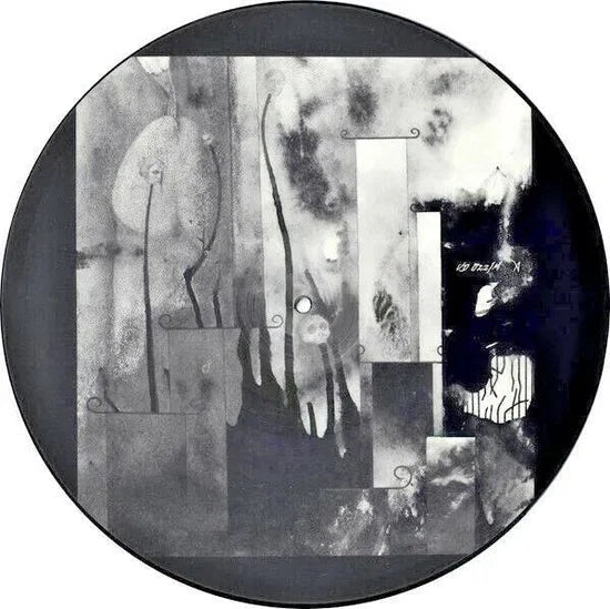 In Menstrual Night (12" Picture Disc)