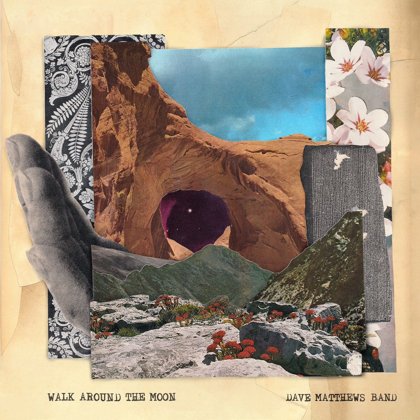 Walk Around The Moon (Wide Vinyl, Black)