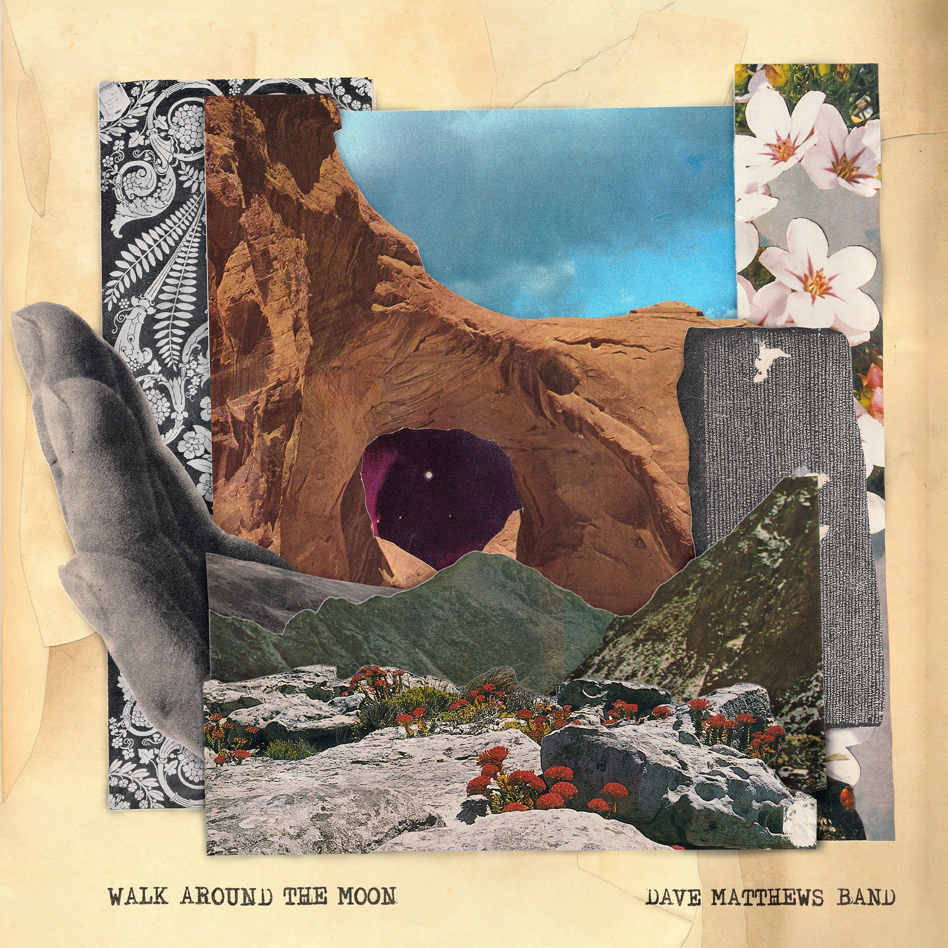 Walk Around The Moon (Wide Vinyl, Black)