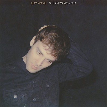 THE DAYS WE HAD (LP)