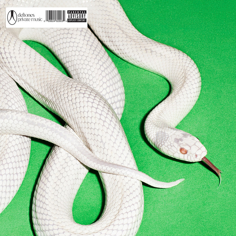 Private Music [Standard Black Vinyl]