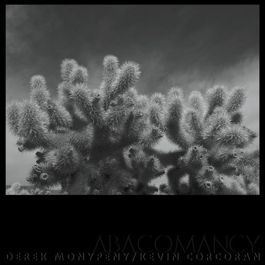 Abacomancy [LP]