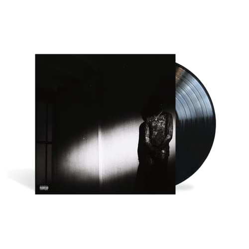 NO STYLIST [LP]