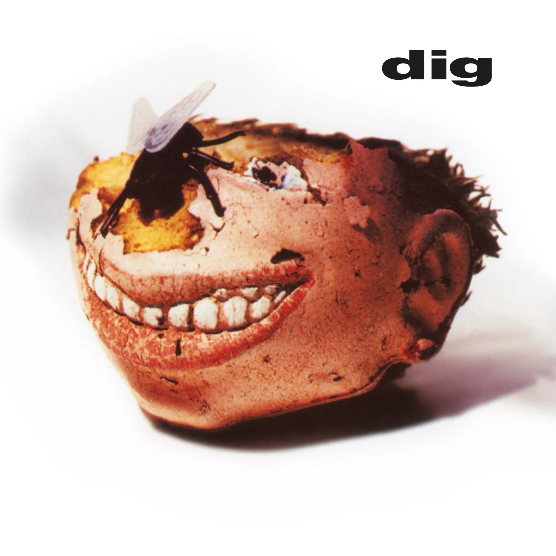 Dig (180G)