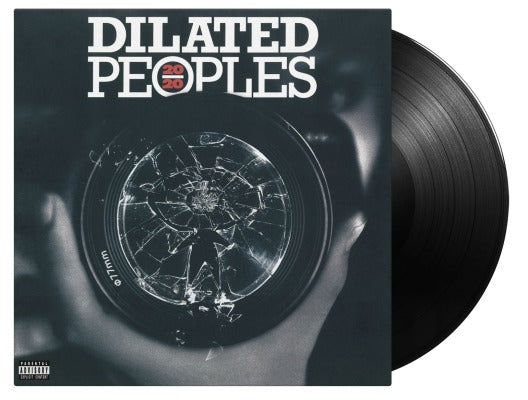 20/ 20 (180 Gram Vinyl, Black) [Import] (2 Lp's)