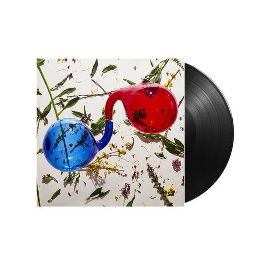 Dirty Projectors Lamp Lit Prose black vinyl LP