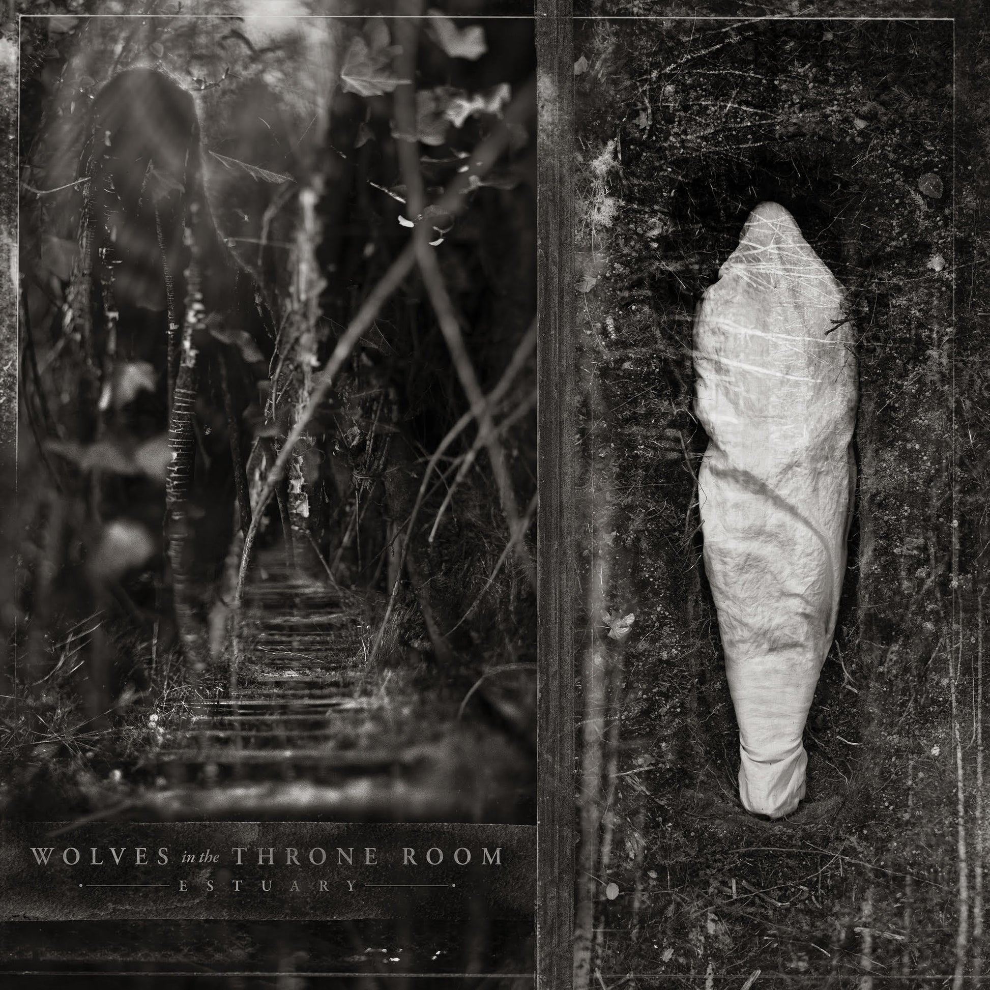 Wolves In The Throne Room