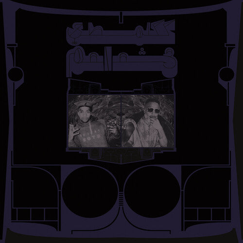 Shabazz Palaces | Exotic Birds Of Prey (CD)