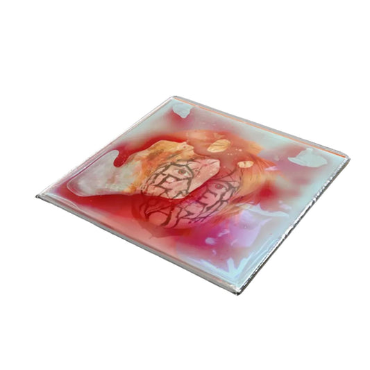 Fever Ray Plunge deluxe 180g 2LP vinyl with blood red gel sleeve and posters