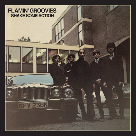 Shake Some Action (50Th Anniversary, Brick & Mortar Exclusive) [2LP]