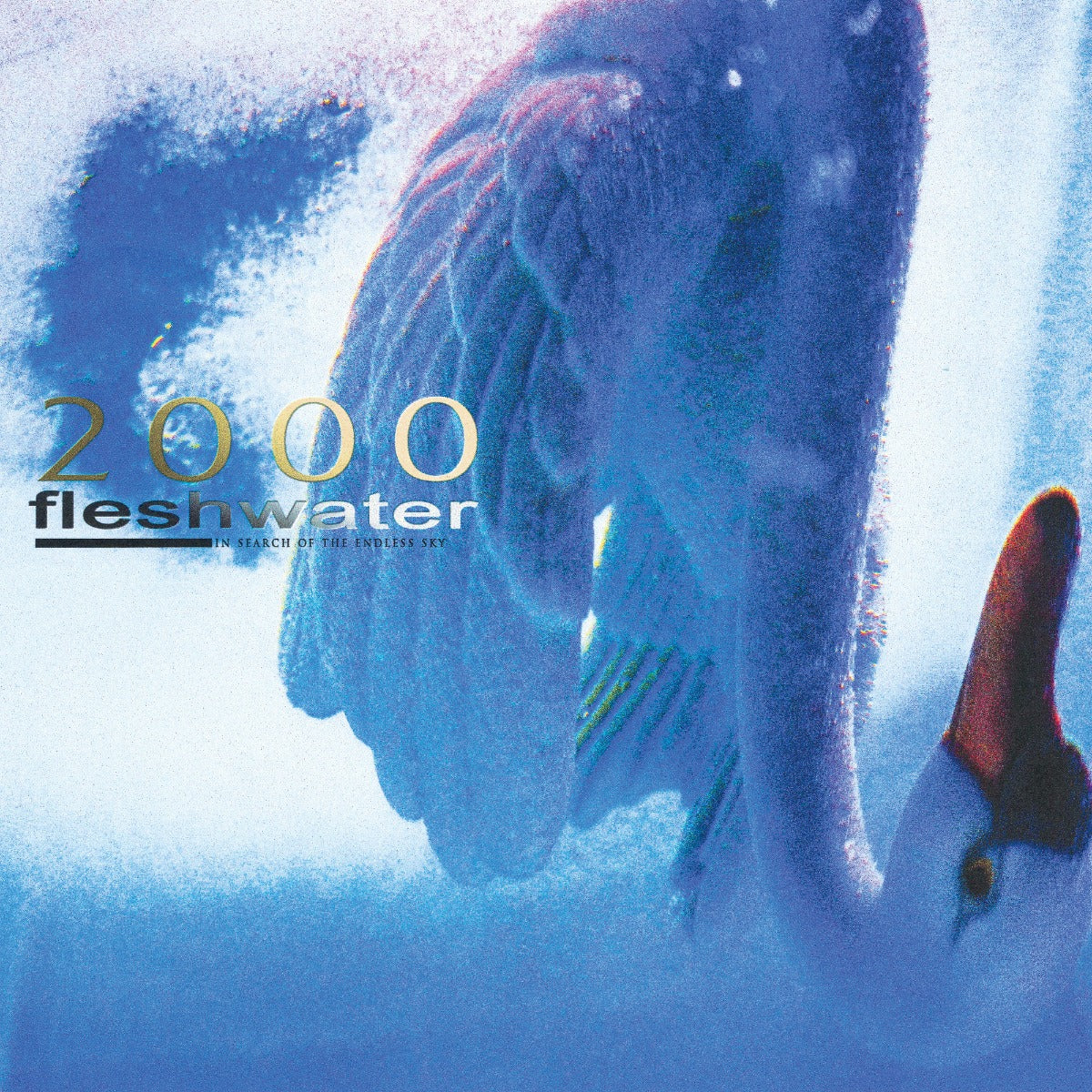 2000: In Search Of The Endless Sky (Metallic Blue Vinyl)