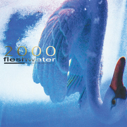 2000: In Search Of The Endless Sky (Metallic Blue Vinyl)