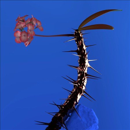SKIN COMPANION EP II
