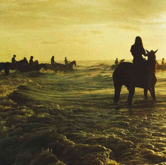 Foals Holy Fire (Digital Download Card)
