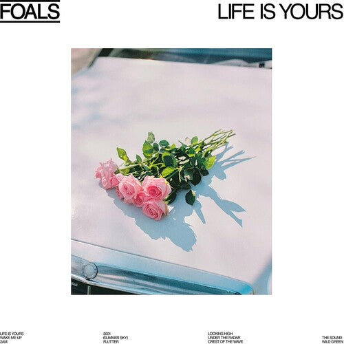 Foals Life Is Yours