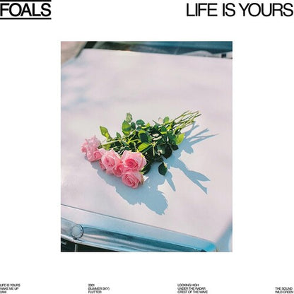 Foals Life Is Yours