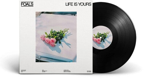 Foals Life Is Yours
